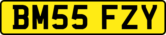 BM55FZY