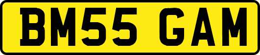 BM55GAM