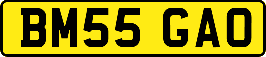 BM55GAO