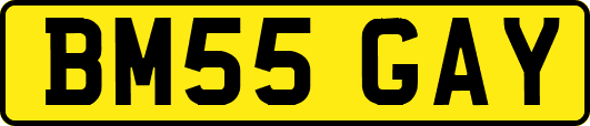 BM55GAY