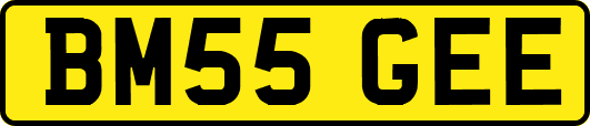 BM55GEE