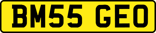 BM55GEO