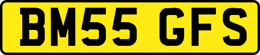 BM55GFS