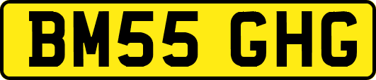 BM55GHG