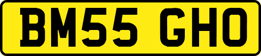 BM55GHO