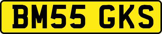 BM55GKS