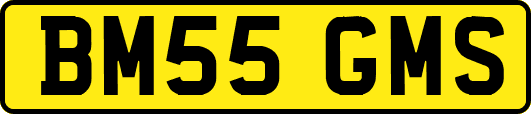 BM55GMS