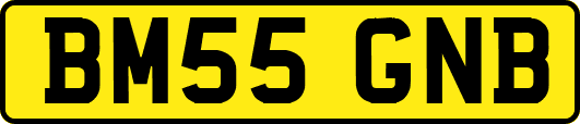 BM55GNB
