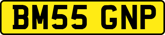 BM55GNP