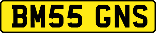 BM55GNS