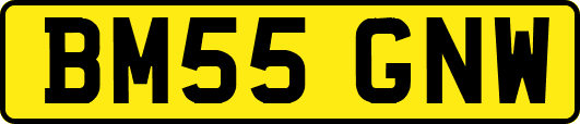 BM55GNW