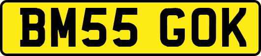 BM55GOK