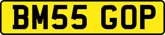 BM55GOP