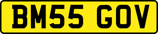 BM55GOV