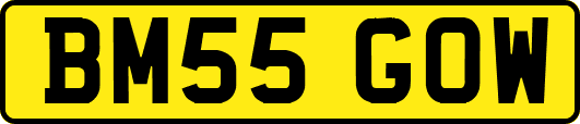 BM55GOW
