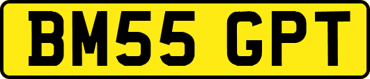 BM55GPT