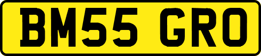 BM55GRO