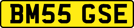 BM55GSE