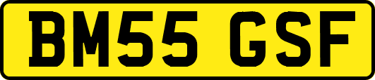 BM55GSF