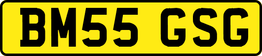 BM55GSG
