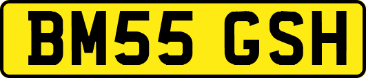 BM55GSH