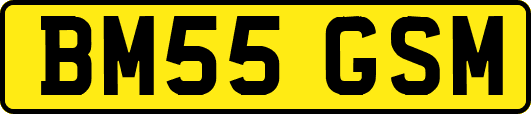 BM55GSM