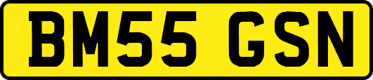 BM55GSN