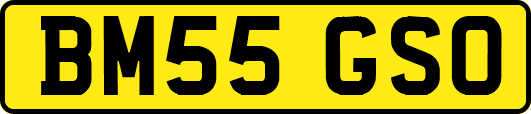 BM55GSO
