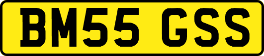 BM55GSS