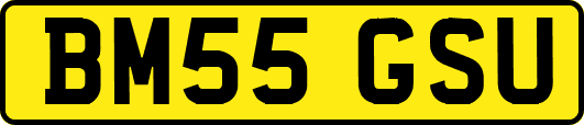 BM55GSU