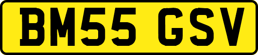 BM55GSV