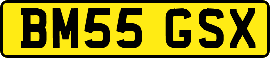 BM55GSX