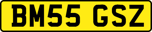 BM55GSZ
