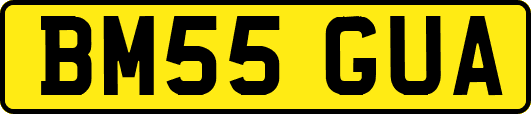 BM55GUA