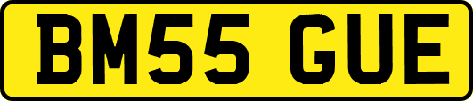 BM55GUE