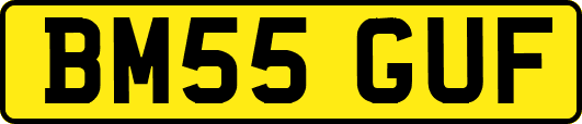 BM55GUF