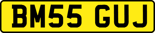 BM55GUJ