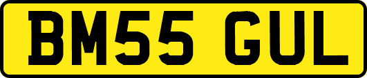 BM55GUL