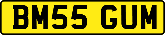 BM55GUM