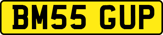 BM55GUP