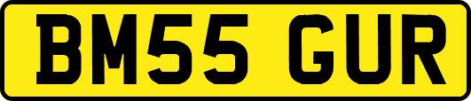 BM55GUR