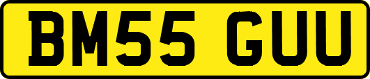BM55GUU