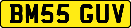 BM55GUV