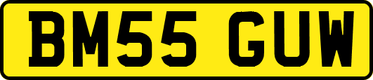 BM55GUW
