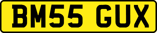 BM55GUX