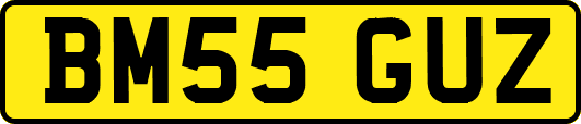 BM55GUZ