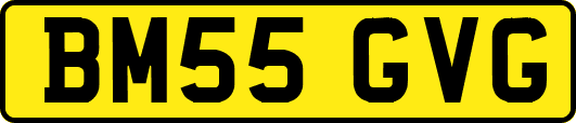 BM55GVG