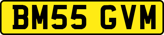 BM55GVM