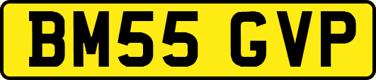 BM55GVP