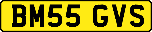 BM55GVS